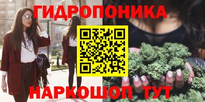 jwh Нальчик